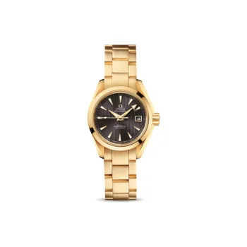 OMEGA Seamaster Aqua Terra 231.50.30.20.06.002