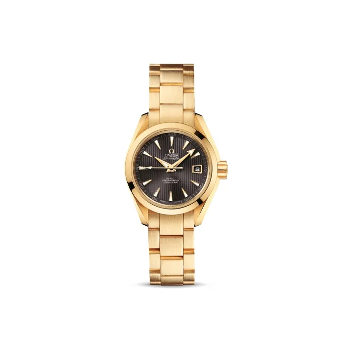 OMEGA Seamaster Aqua Terra 231.50.30.20.06.002-0