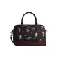 Bag+Dust Bag