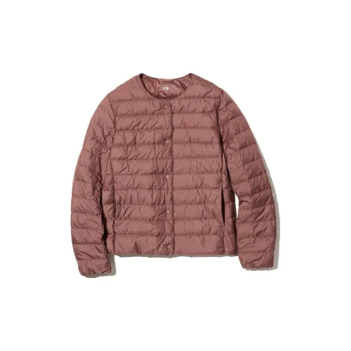 UNIQLO Jackets Women's Berry Red