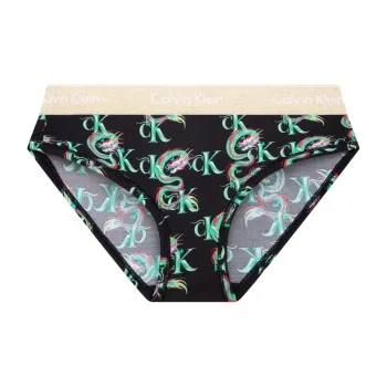 CALVIN KLEIN Underpants Women's 1 Pack