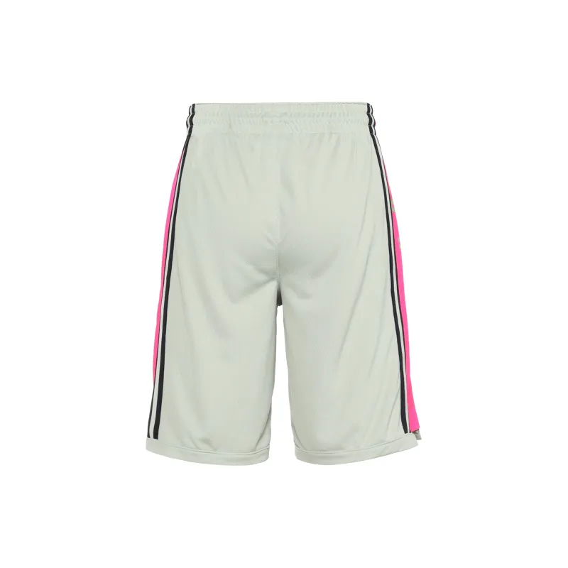 Jordan Basketball Shorts Men Gray Pink-2