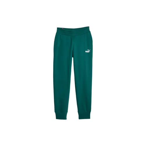 PUMA ESSENTIALS Knit Sweatpants Women's Green