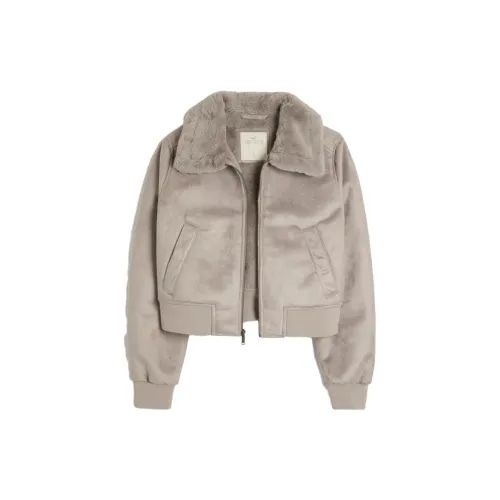 Hollister Jackets Women's Taupe