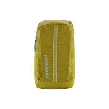 Patagonia Backpacks Shrub Green