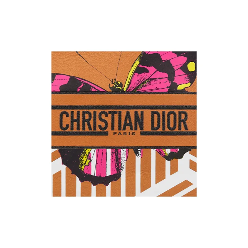 DIOR BookTote Handbags-4