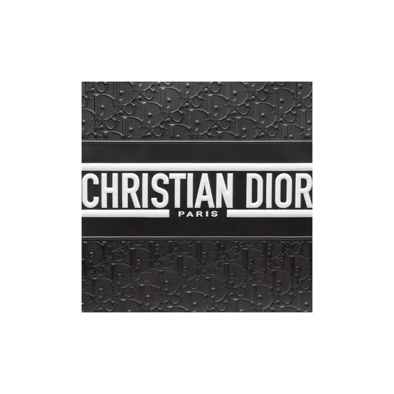 DIOR BookTote Handbags-4