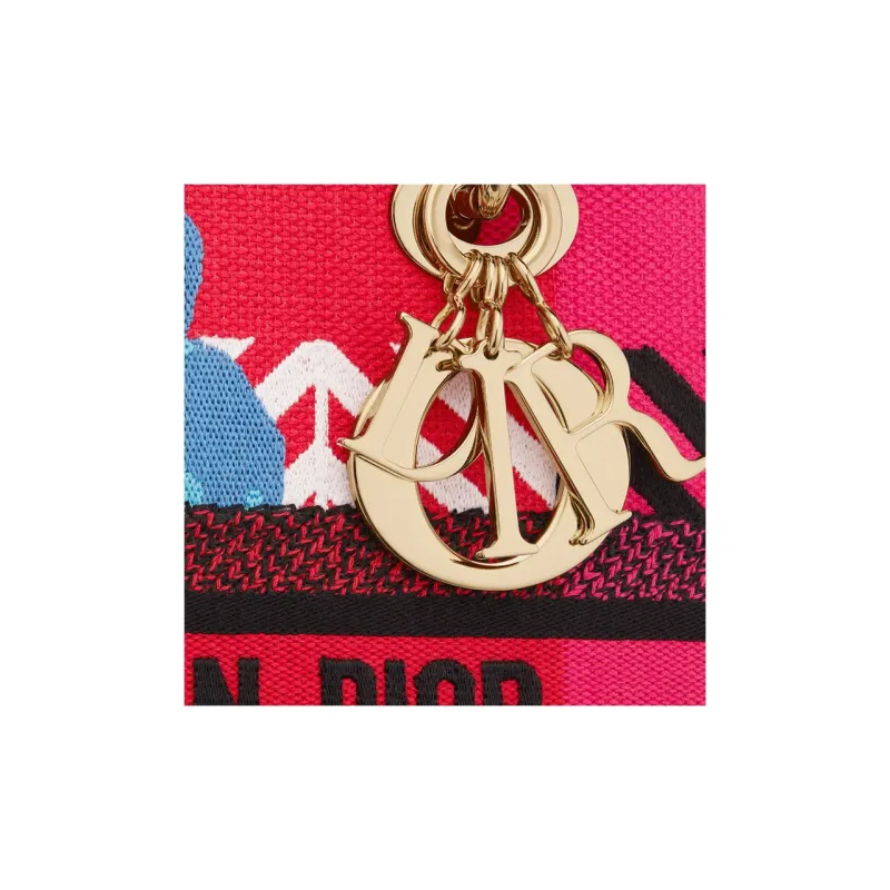 DIOR Lady DIOR Handbags-6