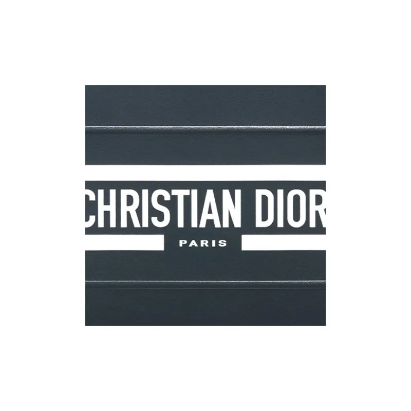 DIOR Vibe Collection Card Holders-2