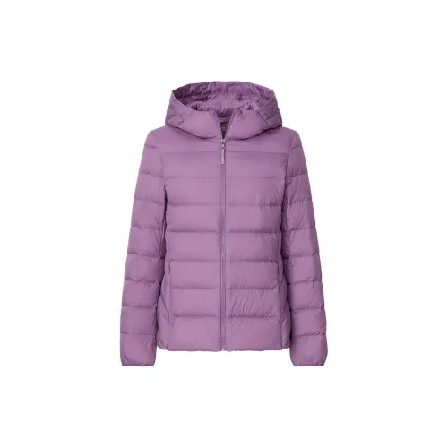 UNIQLO Down Jackets Women's Light Blue Purple