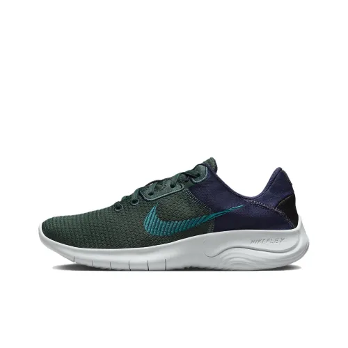 Nike Flex Experience Run 11 'Deep Jungle Purple Ink'