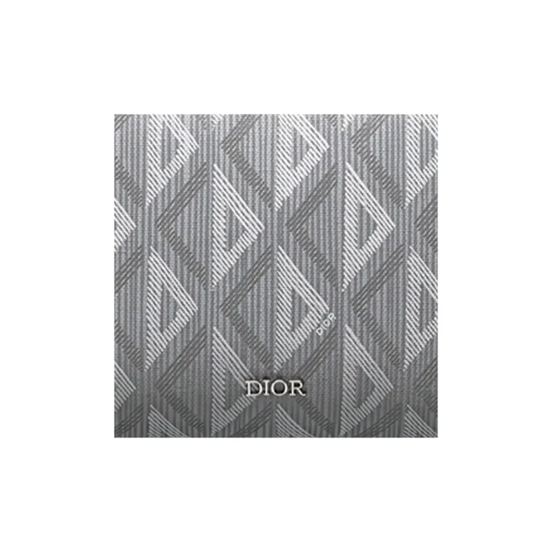 DIOR Lingot Canvas Storage Bag Clutch Toiletry Bag Men's Gray-5
