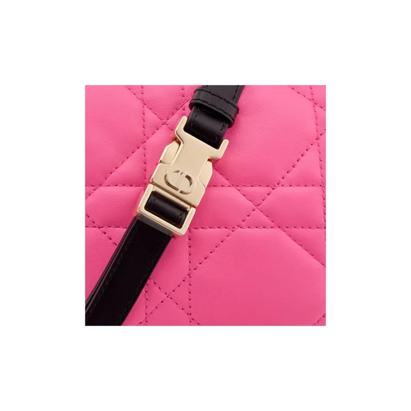 DIOR Vibe Collection Handbags-4