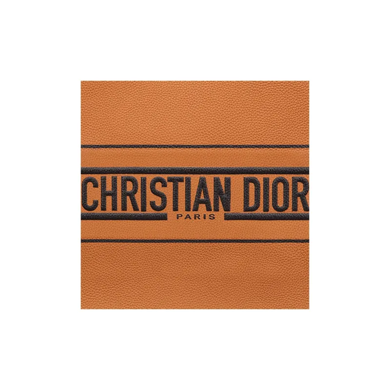 DIOR BookTote Handbags-3