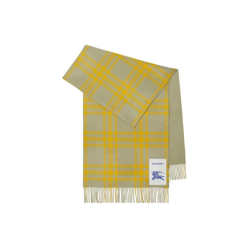 Burberry Checked Reversible Cashmere Scarf-0