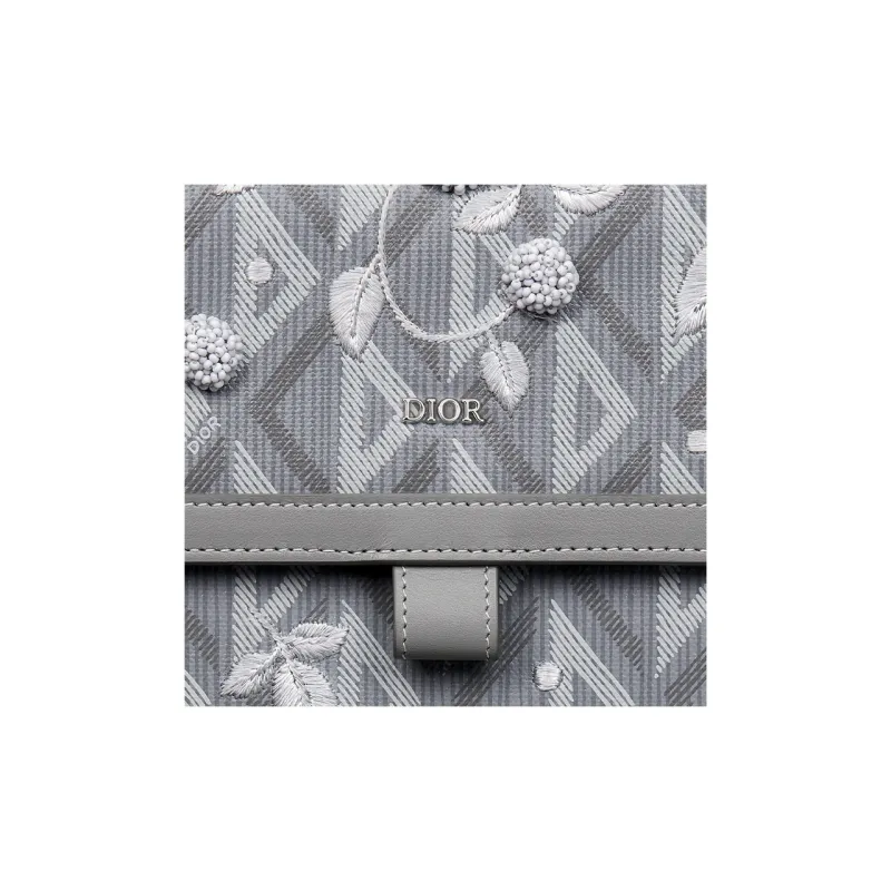 DIOR Clutches-4