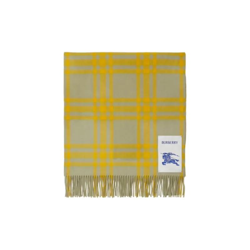 Burberry Checked Reversible Cashmere Scarf-1