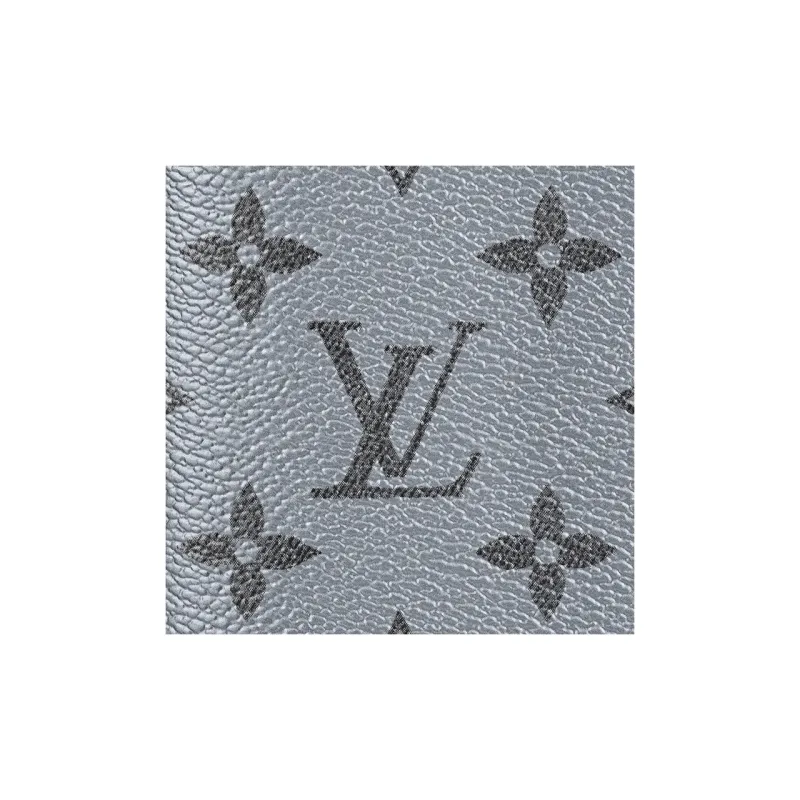 LOUIS VUITTON Pocket Organizer Silver-4
