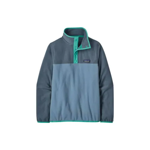 Patagonia Micro D Snap-T Sweatshirts Women's