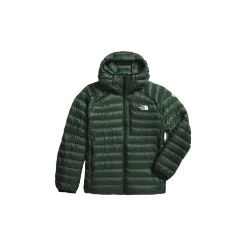 THE NORTH FACE Jackets Men Pine Needle Green