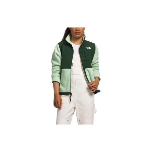 THE NORTH FACE DENALI Jackets Women's Green