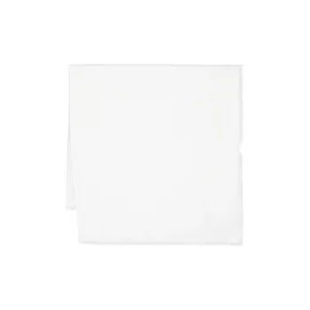 Elisabetta Franchi Pashmina Scarf