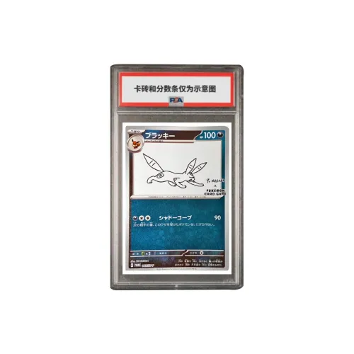 Pokemon Graded Cards