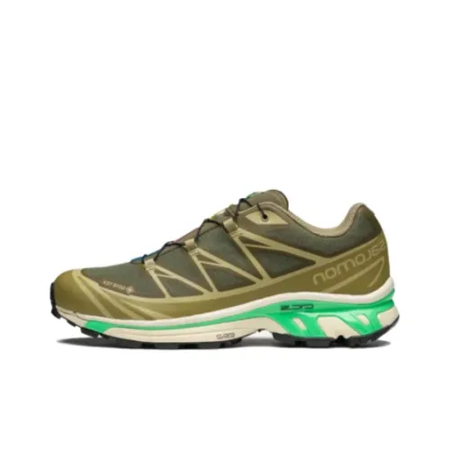 SALOMON XT-6 Gore-Tex Olive Night Dried Herb