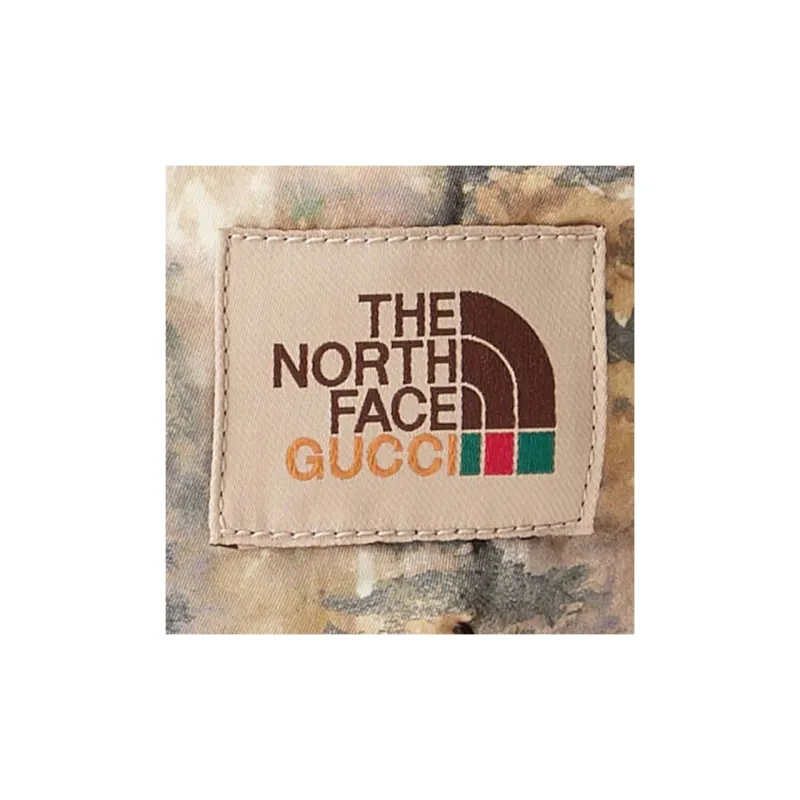 The North Face X GUCCI Fanny Packs-7