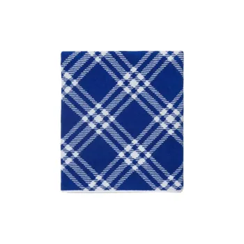 Burberry Scarves Women's