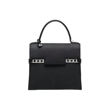 Delvau Tempête Grain Calfskin Shoulder Bag, Crossbody Bag, Handbag Small Size Women's Black