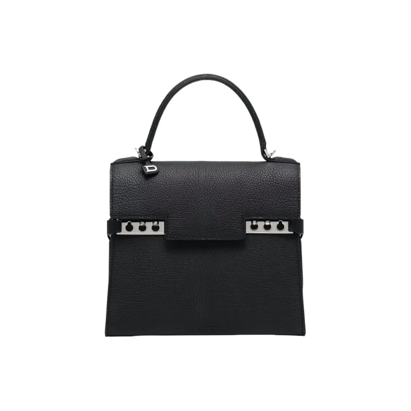 Delvau Tempête Grain Calfskin Shoulder Bag, Crossbody Bag, Handbag Small Size Women's Black-0