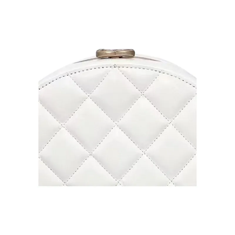 CHANEL Crossbody Bags-1