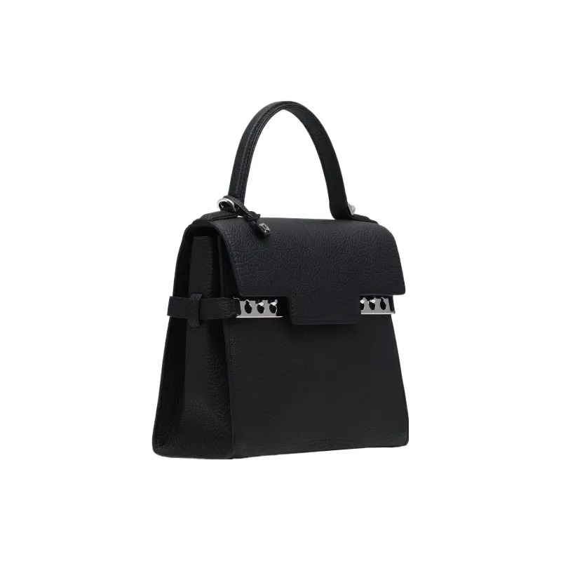 Delvau Tempête Grain Calfskin Shoulder Bag, Crossbody Bag, Handbag Small Size Women's Black-1