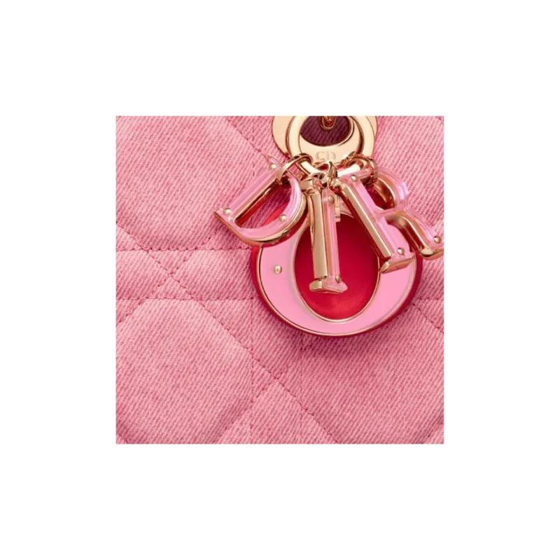 DIOR Handbags-6