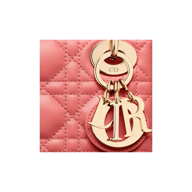 DIOR Handbags-5