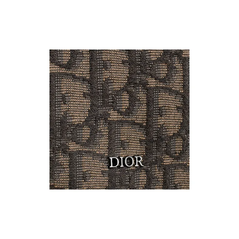 DIOR Fanny Packs-5