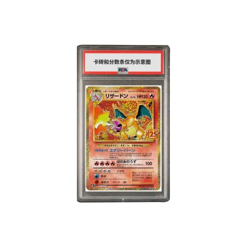 Pokemon Graded Cards