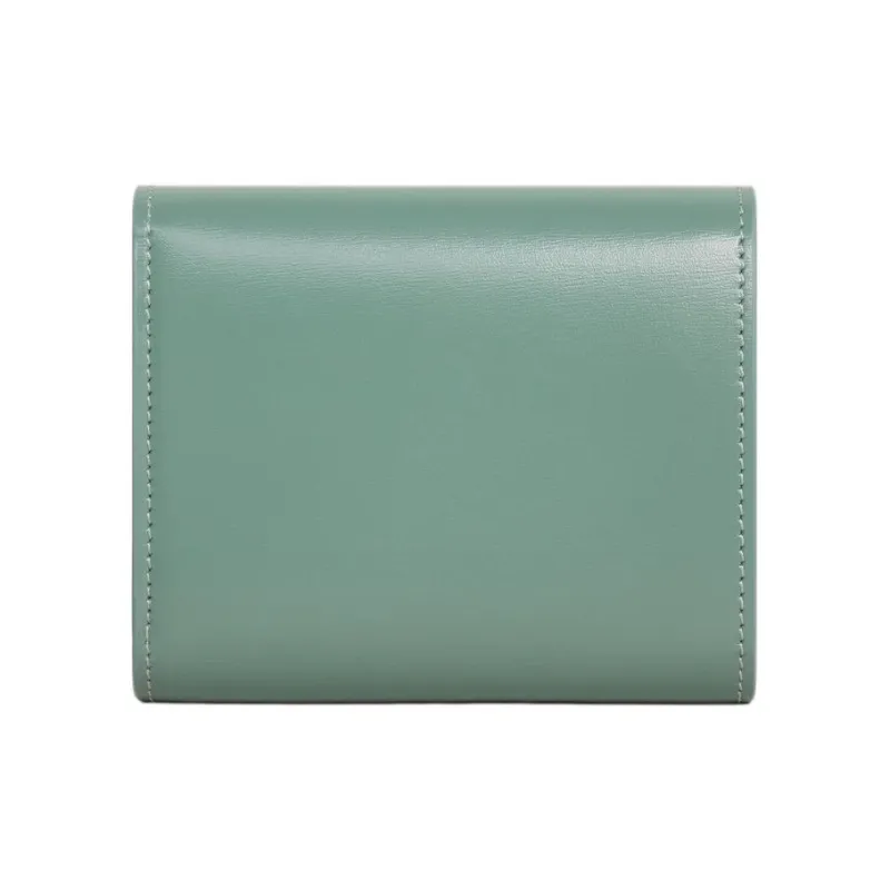 CELINE Triomphe Shiny Cow Leather Wallet Small Size Women's Celadon Green-2