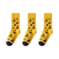 Broom 3 Pack