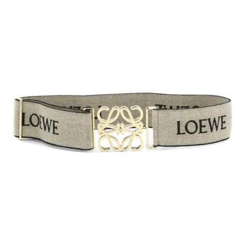 LOEWE Other Belts Women's Multicolor Width 5CM