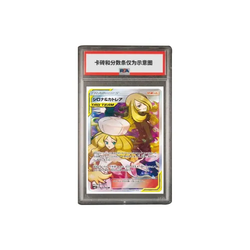 Pokemon Graded Cards