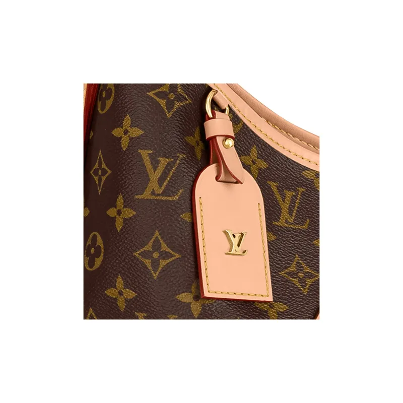 LOUIS VUITTON CarryAll MM Shoulder Bag-5