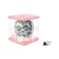 Size 7 Ball (Pink Box)