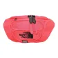 Bright Coral