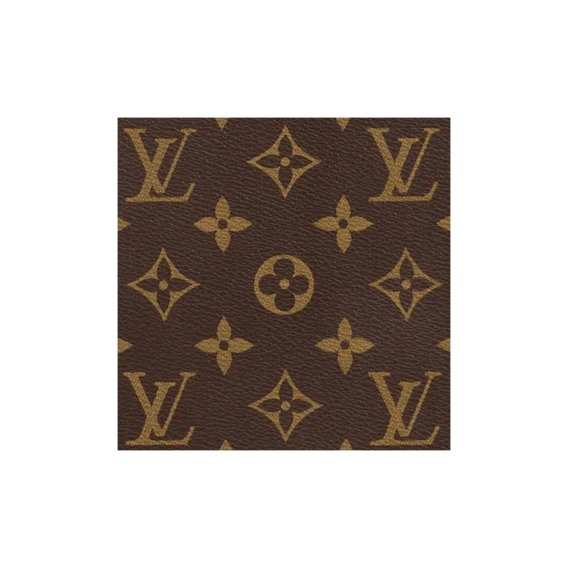LOUIS VUITTON Audio Case Monogram Macassar Brown-4