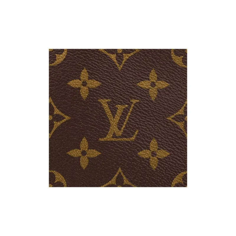 LOUIS VUITTON CarryAll PM Shoulder Bag-4