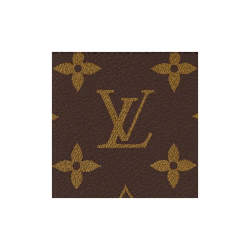 LOUIS VUITTON Coated Canvas With Cow Leather Passport Holder Men's Matte Yellow-3