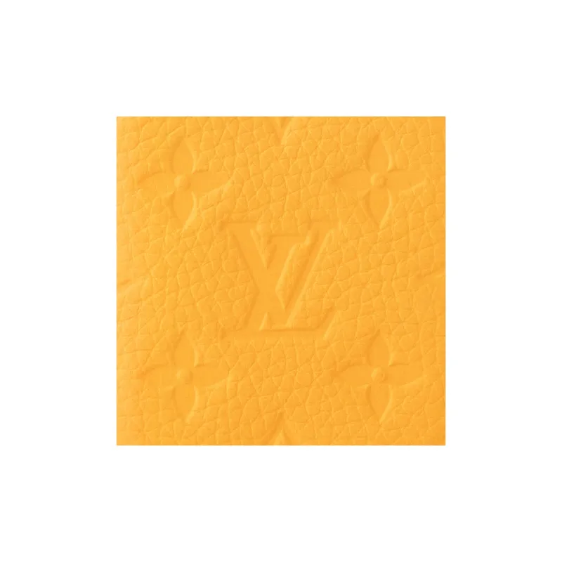 LOUIS VUITTON Pocket Organizer Taurillon Colormania Jaune Mat-5