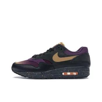 Nike Air Max 1 Pro Purple Fade